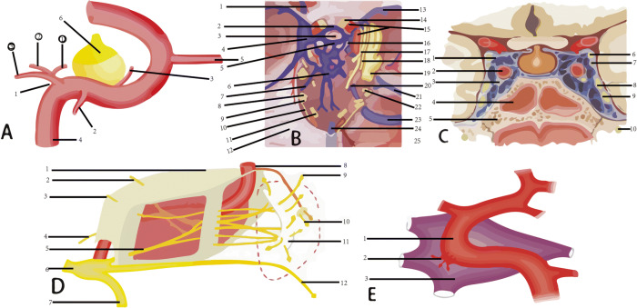 Fig. 2