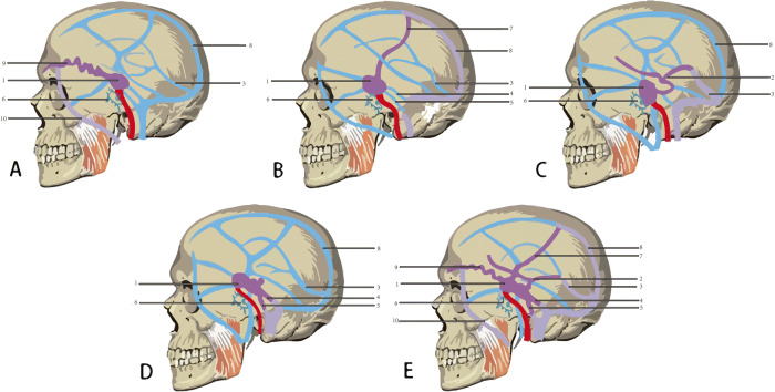 Fig. 1