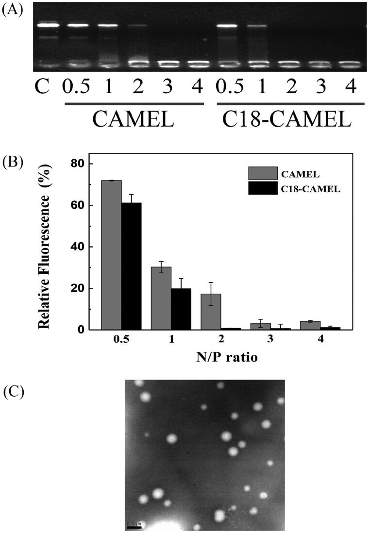 Figure 2.