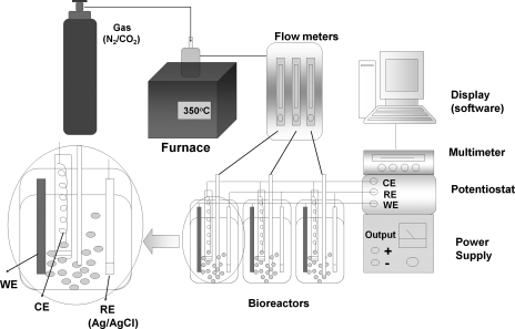 FIG. 2.