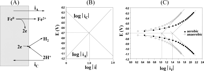 FIG. 1.