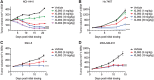 Figure 2. XL092 exhibits antitumor activity in multiple xenograft models. Tumor-bearing mice NCI-H441 (A), Hs 746T (B), SNU-5 (C), and MDA-MB-231 (D) were dosed with XL092 or vehicle orally once daily as indicated in E. Mean tumor volume ± SEM (n = 10) presented. Significance values represent % TGI levels, and were determined using a nonparametric Mann–Whitney U test, with significance levels indicated using *, P < 0.05; **, P < 0.01; ***, P < 0.001; ****, P < 0.0001.