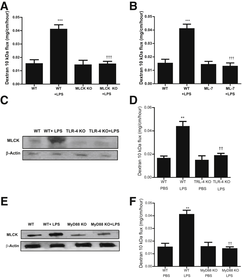 Figure 5