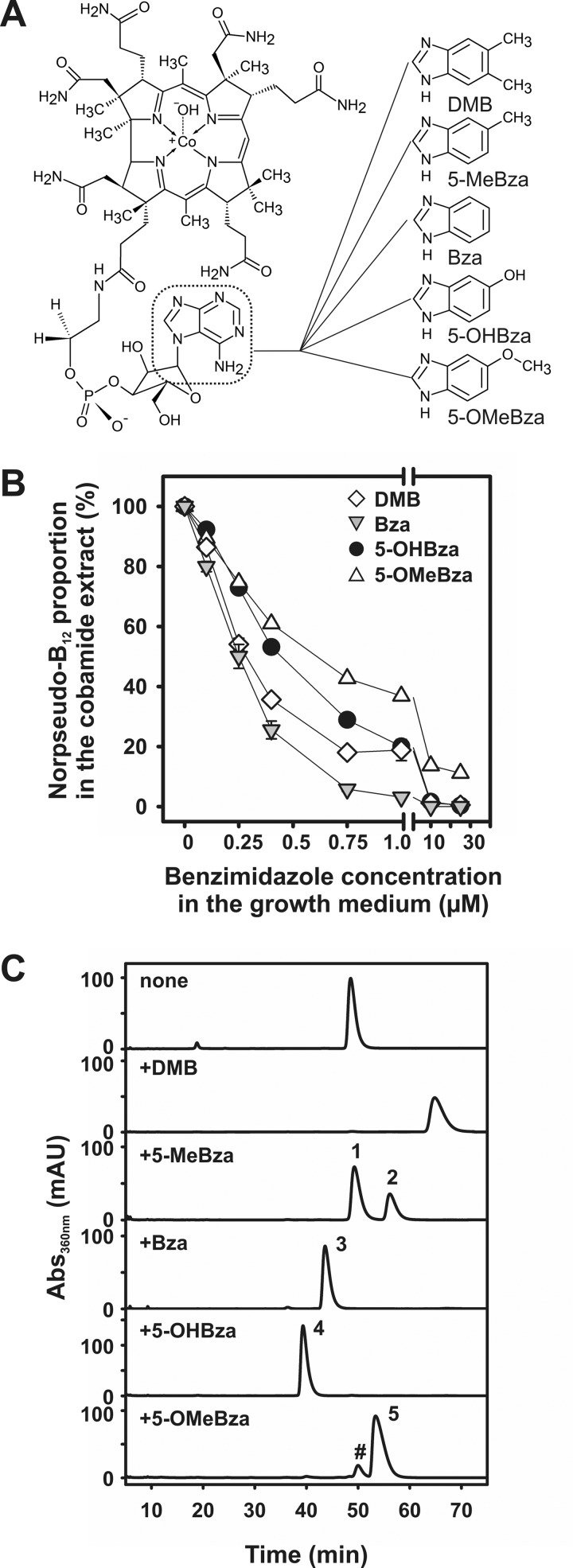 FIG 1