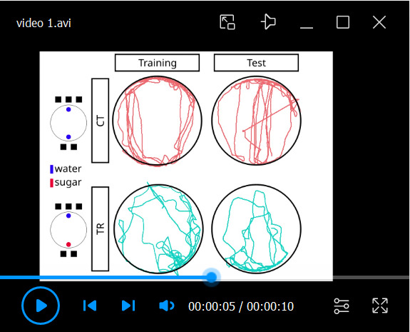 Video 1.