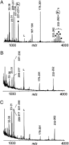 Fig. 6.