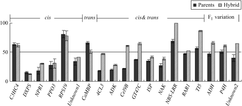 Figure 3.—