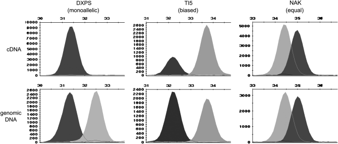 Figure 1.—