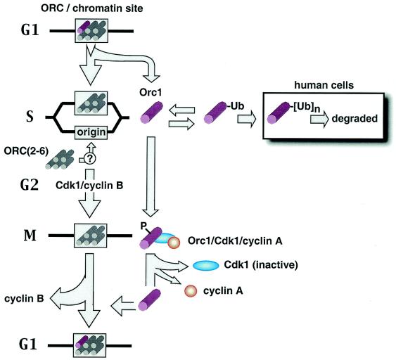 FIG. 10.