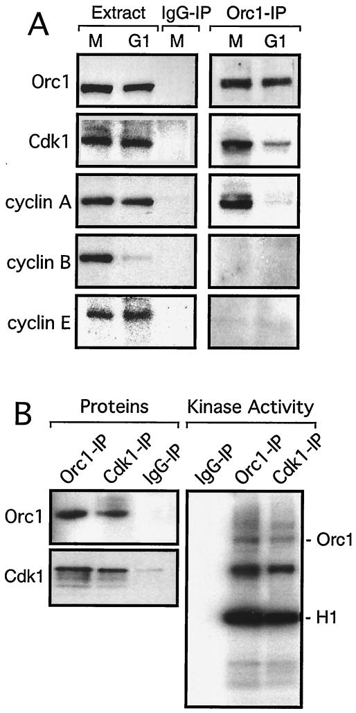 FIG. 5.