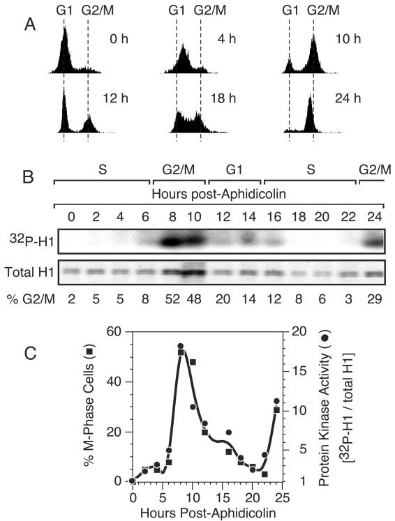 FIG. 3.