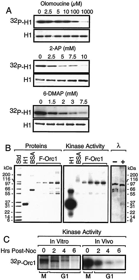 FIG. 6.