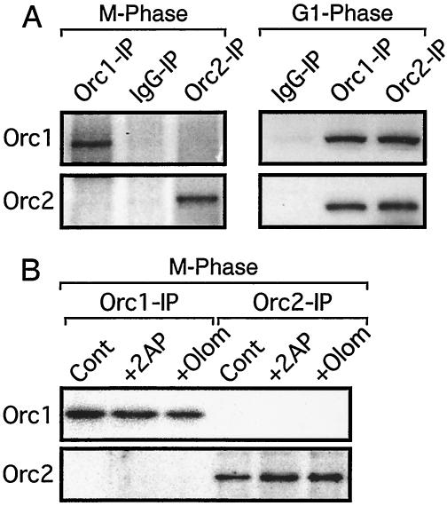 FIG. 9.