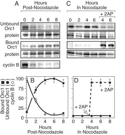 FIG. 8.