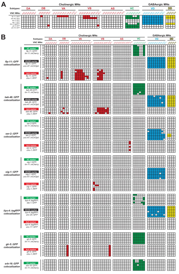 Figure 1—figure supplement 1.