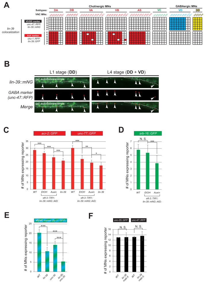 Figure 4—figure supplement 2.