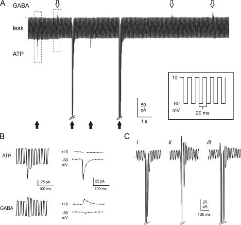 Figure 5.