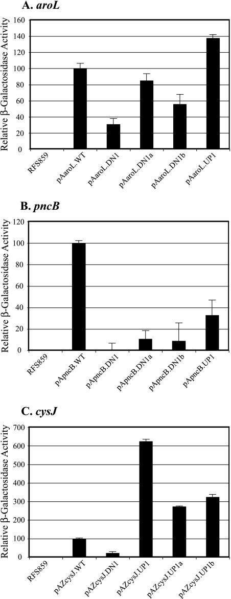 FIG. 1.