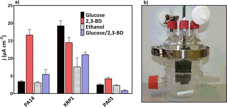 FIG 6