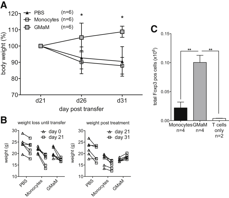 Figure 6