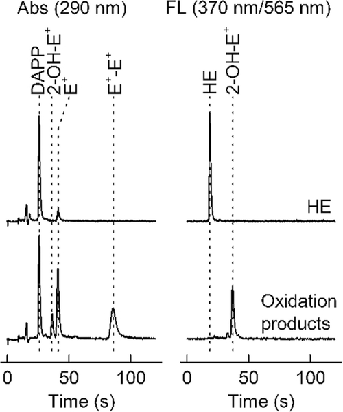 Fig. 10