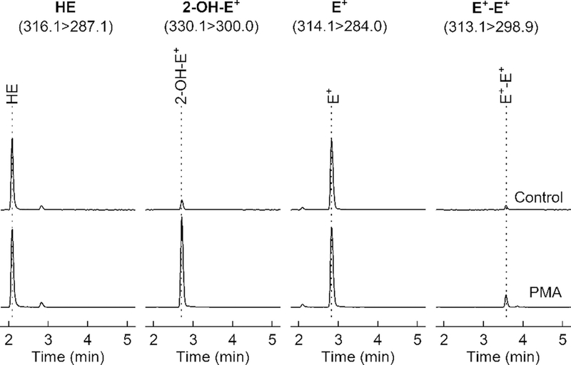 Fig. 8