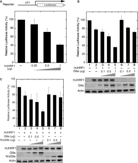 Figure 6.