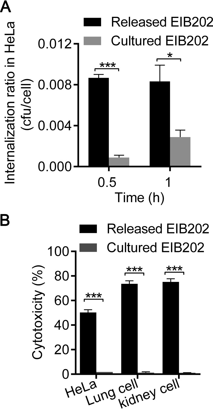 FIG 3