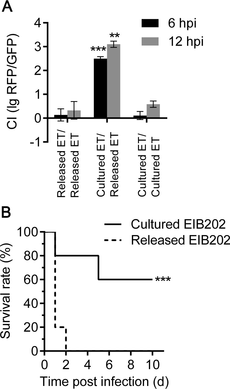 FIG 6