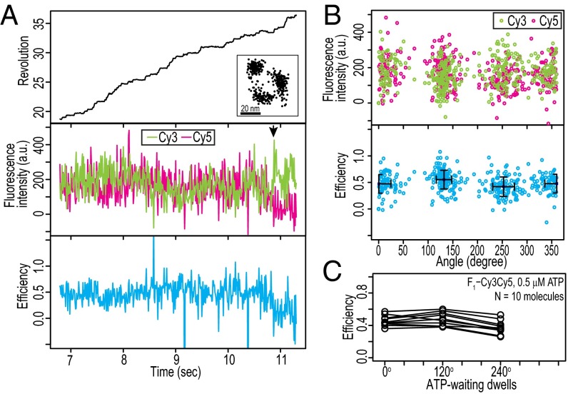 Fig. 3.