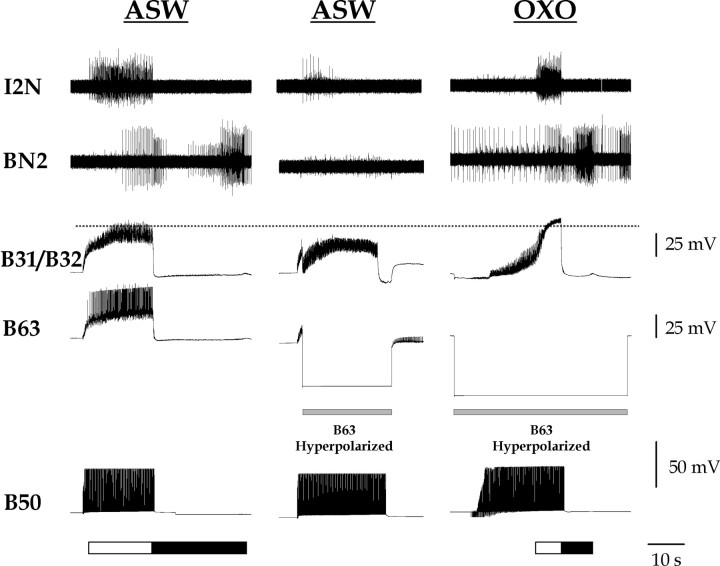 
Figure 10.
