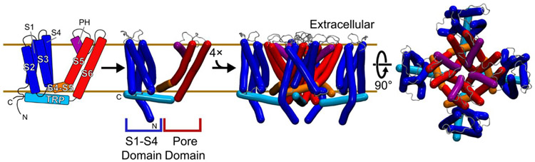 Figure 2.