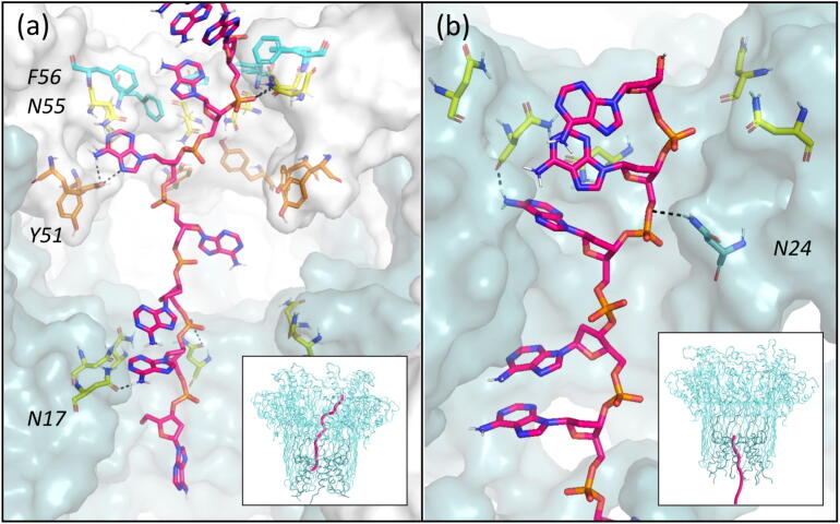 Fig. 7