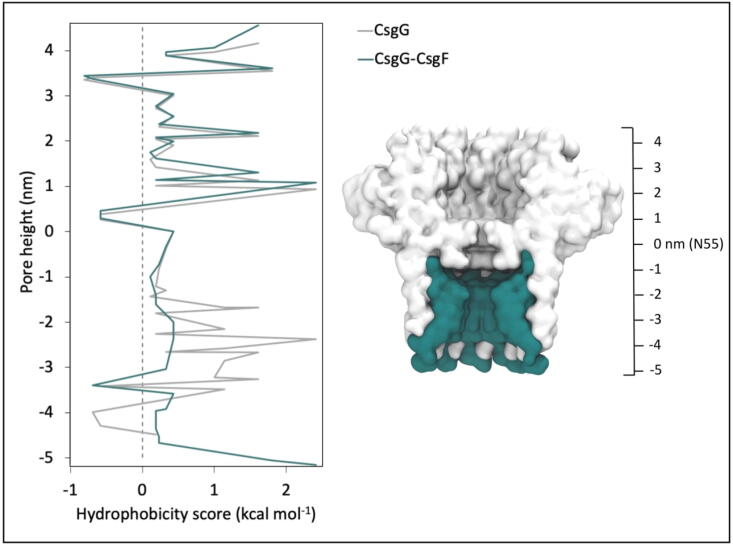 Fig. 9