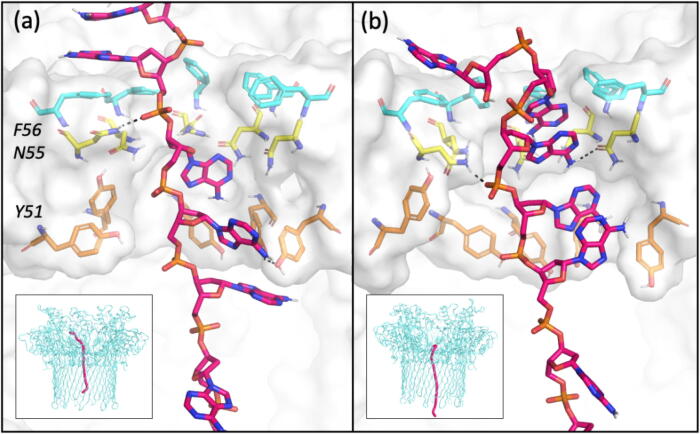 Fig. 6