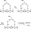 Scheme 6