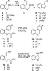 Scheme 4