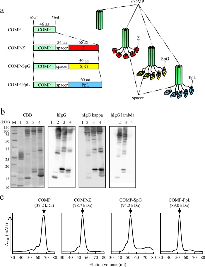 FIG 1