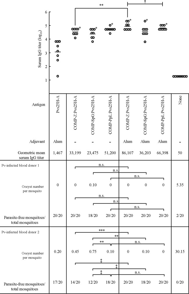 FIG 3