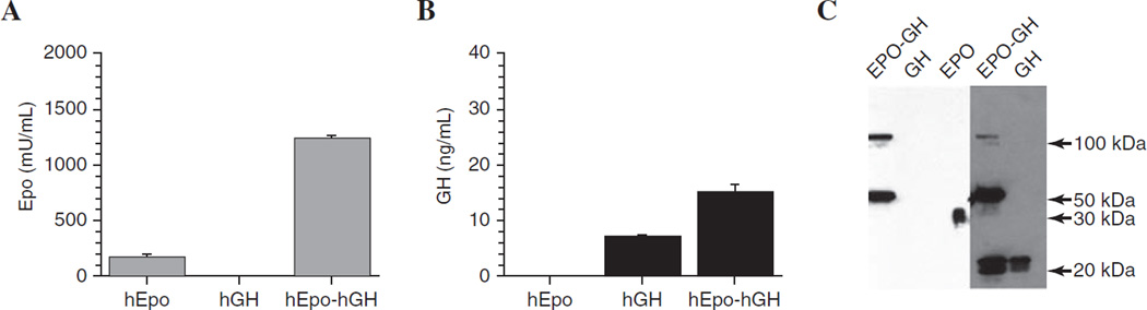 FIG. 1