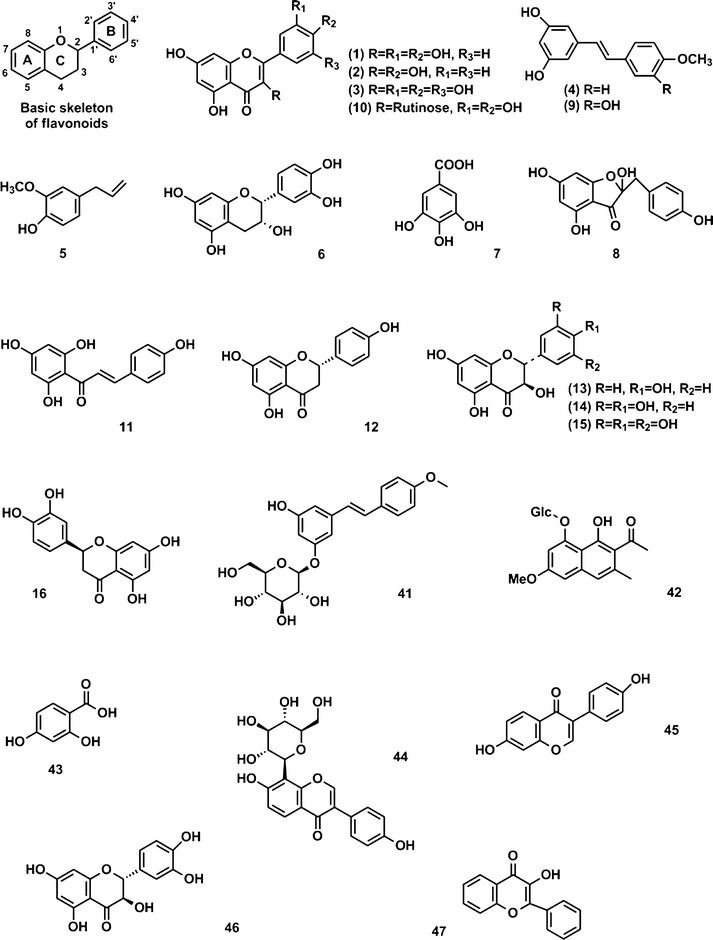 Fig. 2