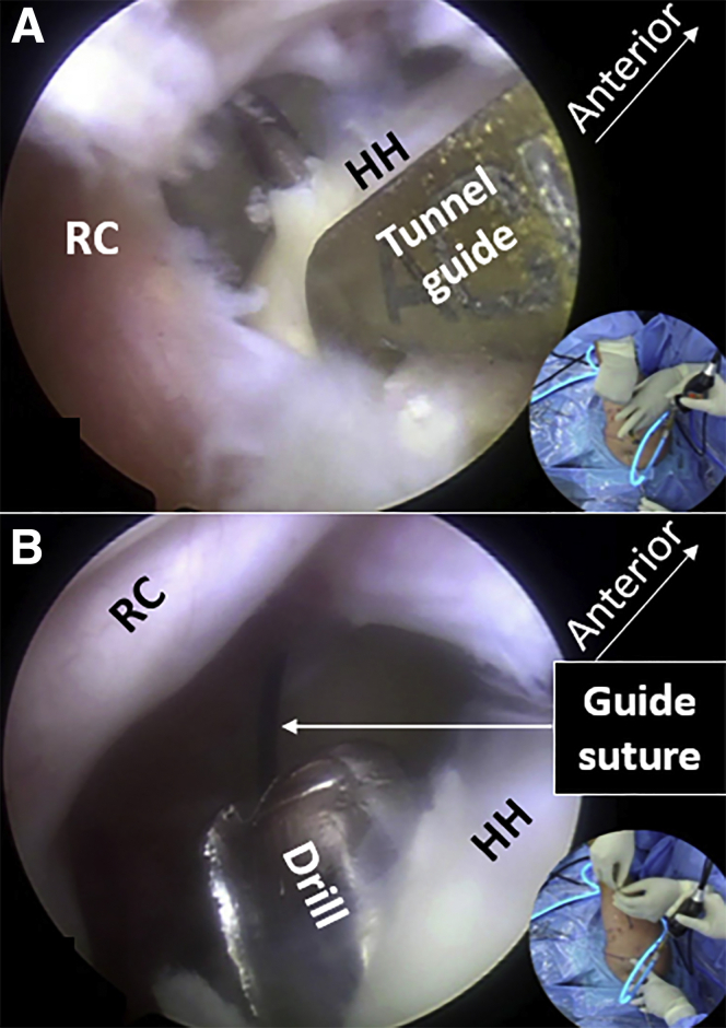 Fig 7