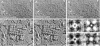 Fig. 8