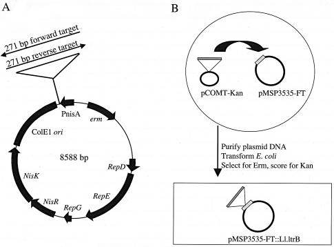 FIG. 5.