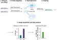 Figure 10.