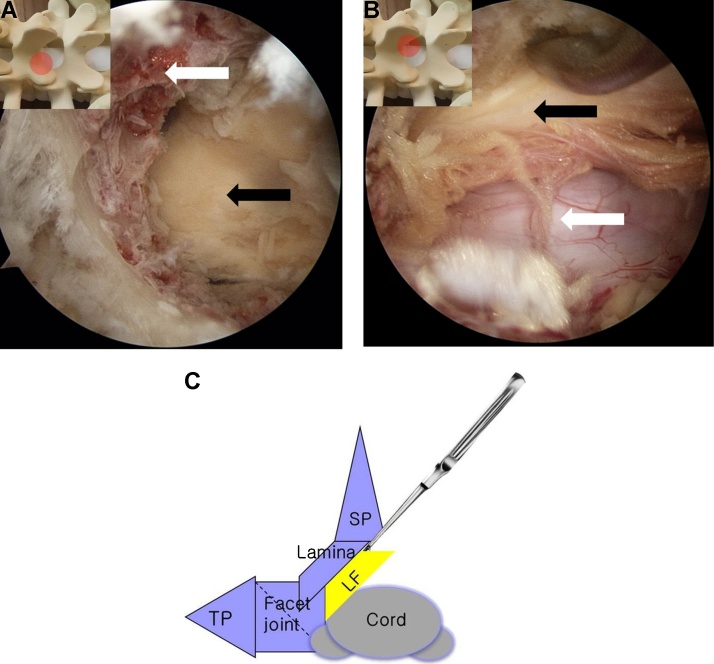 Fig. 5