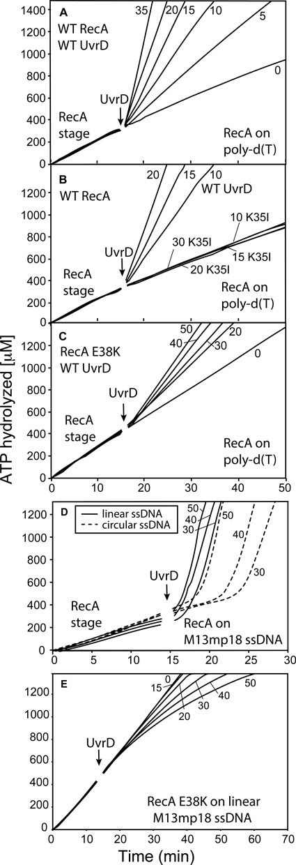 Figure 10.