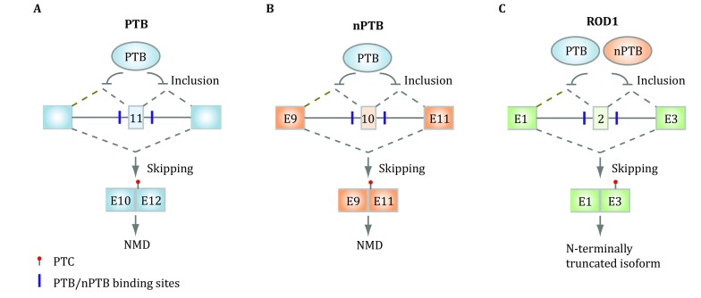 Fig. 3