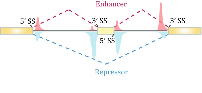 Fig. 2