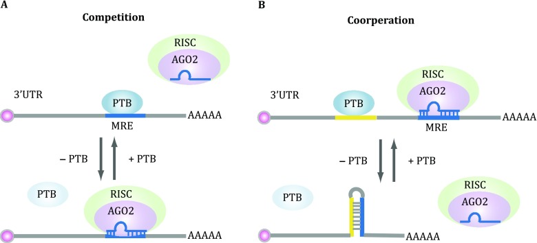 Fig. 4